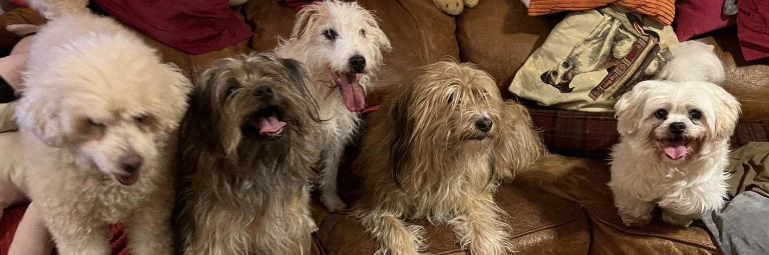 Be That Dog! banner