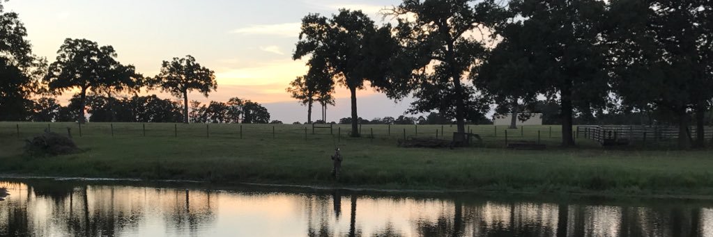 ltjrbowl's profile banner image