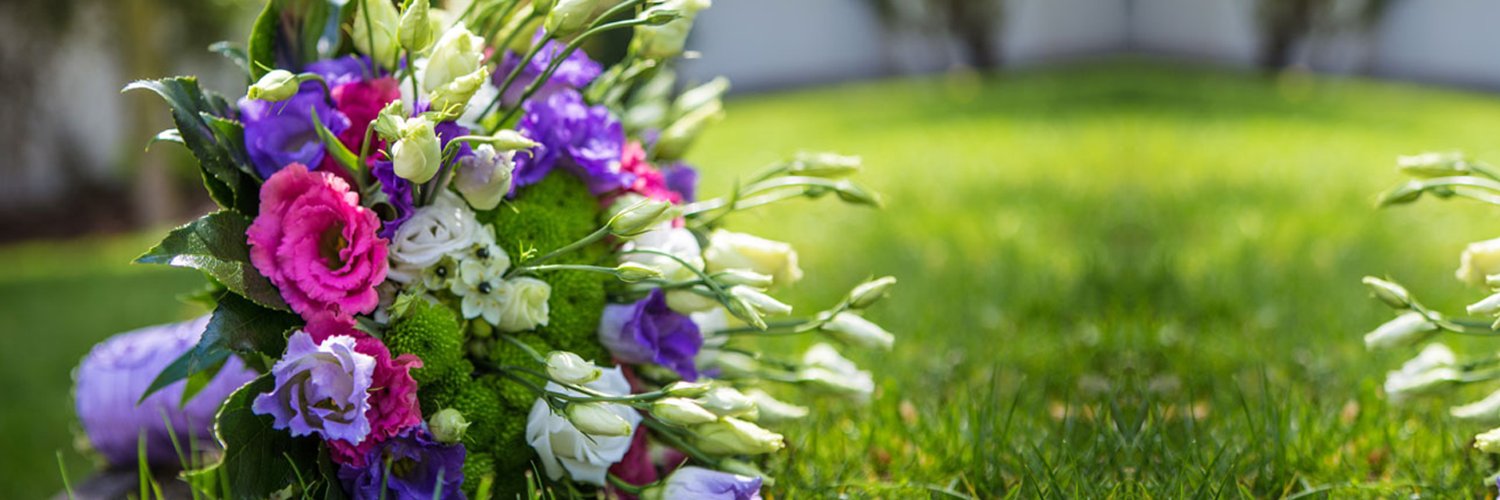 liniguera's profile banner image