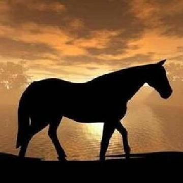 Gregory40's profile banner image
