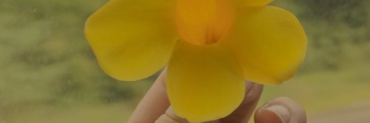 jennihachen's profile banner image