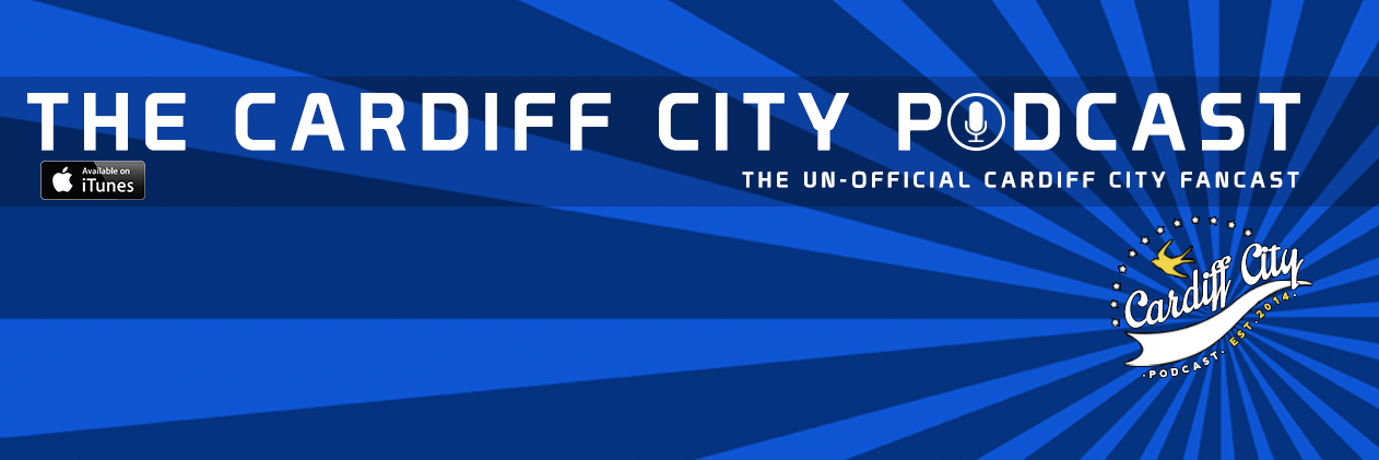 CardiffCityPod's profile banner image