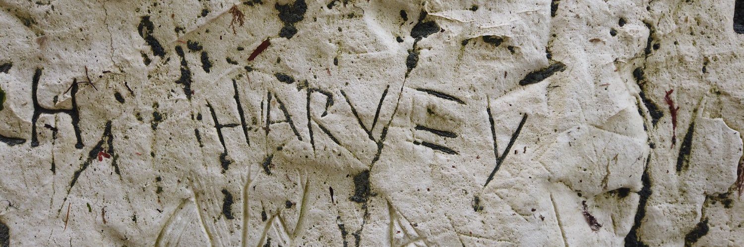 H a r v j a m banner