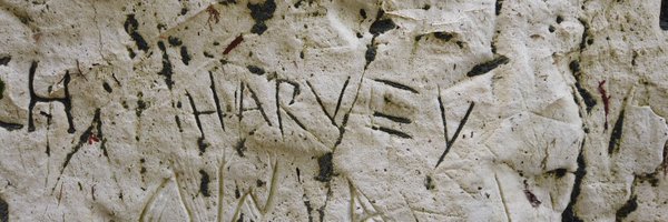 Harvjam Profile Banner