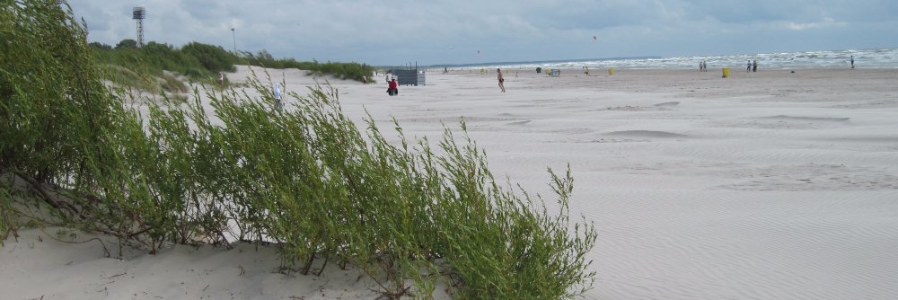 Andrea Wijayakoon Phillpotts (she/her) banner