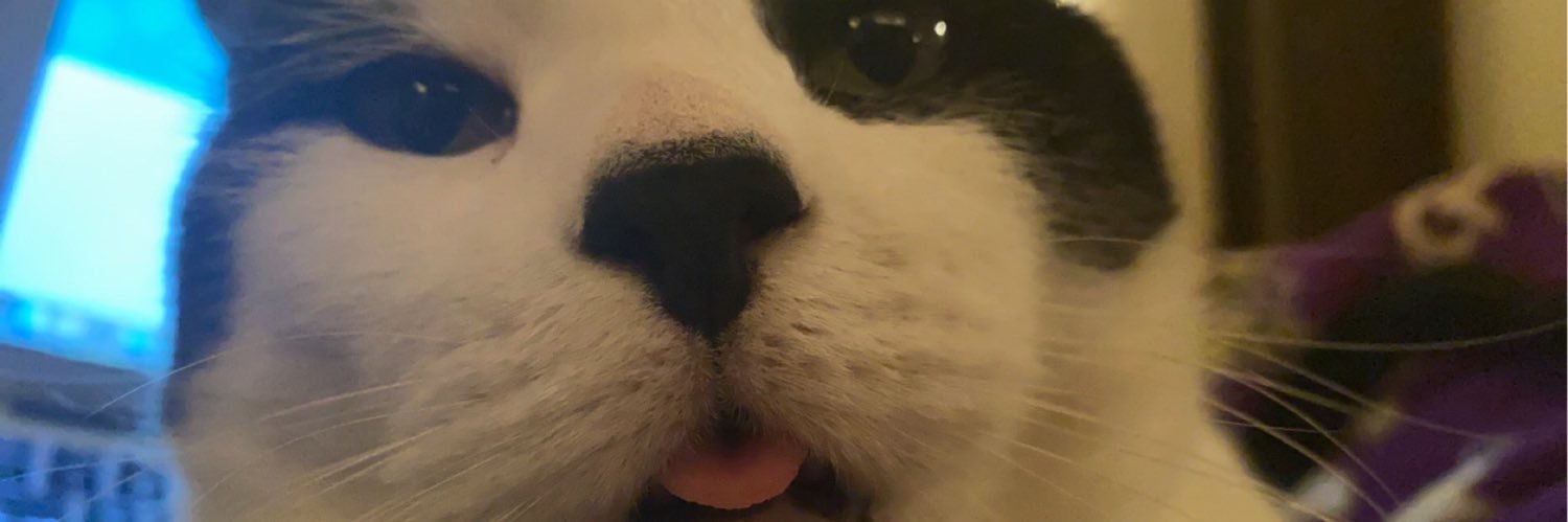 johnsonbran1's profile banner image