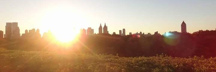 laryjohns's profile banner image