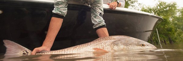 InShoreFishnJou's profile banner image