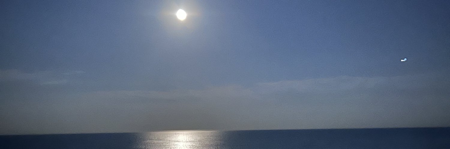 DustieLM's profile banner image