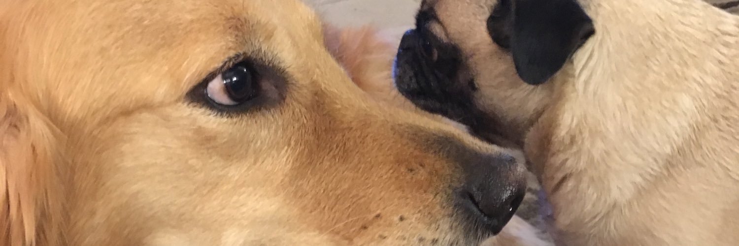 KateMThomp's profile banner image