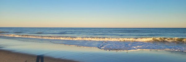 ALYRPAL Profile Banner