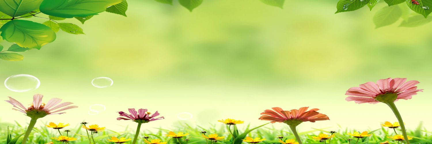 LauraShayle's profile banner image