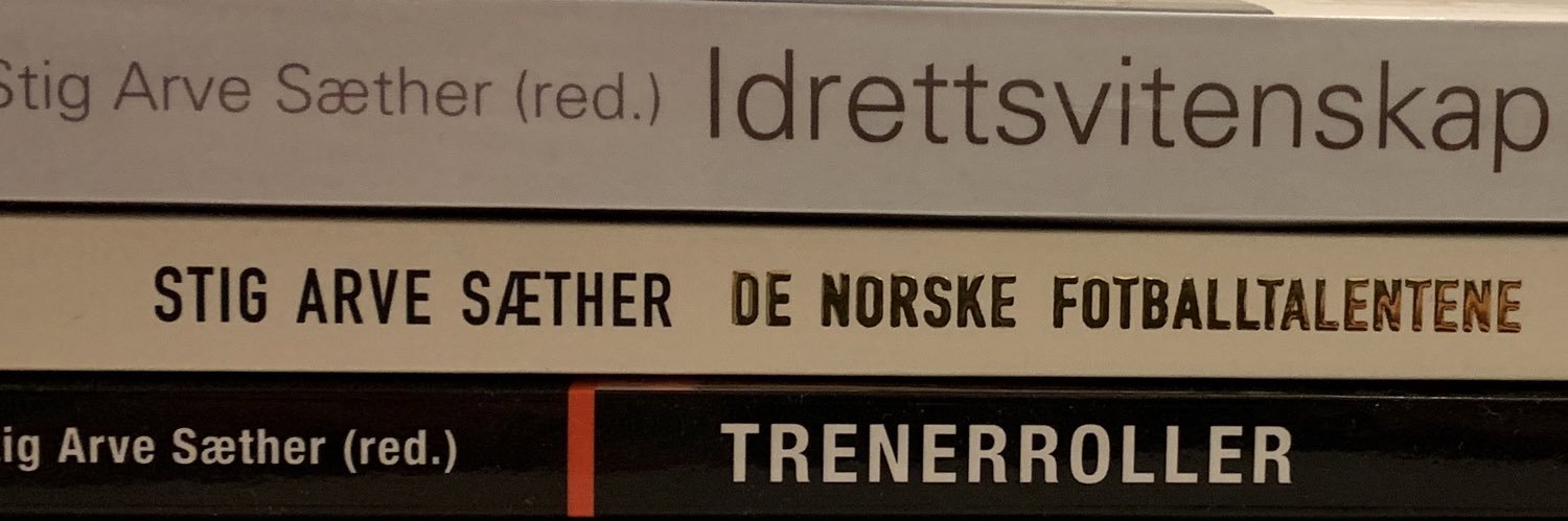 Stig Arve Sæther banner