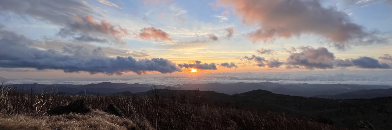 Esha Kaur Sarai banner