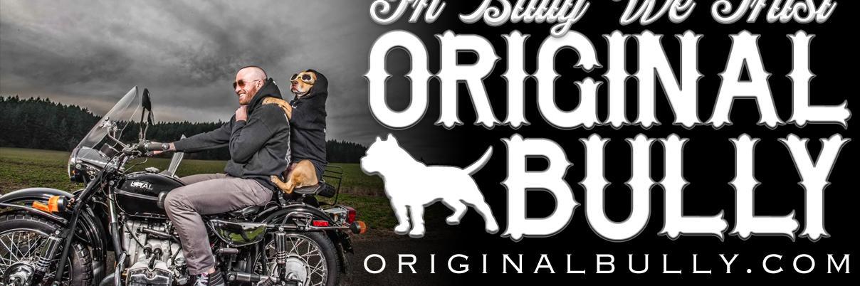OriginalBully's profile banner image