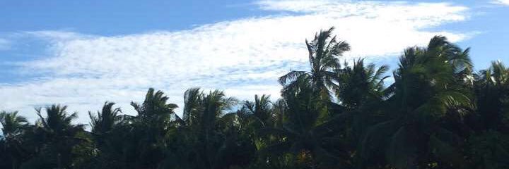 Sarali_am's profile banner image