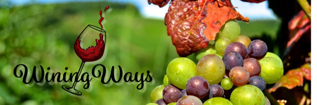 Lorie Perrone banner