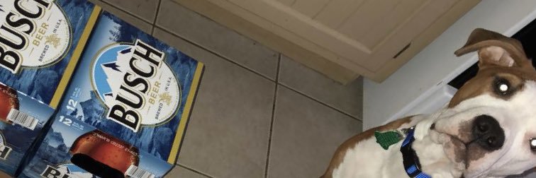 H_Frenchy's profile banner image