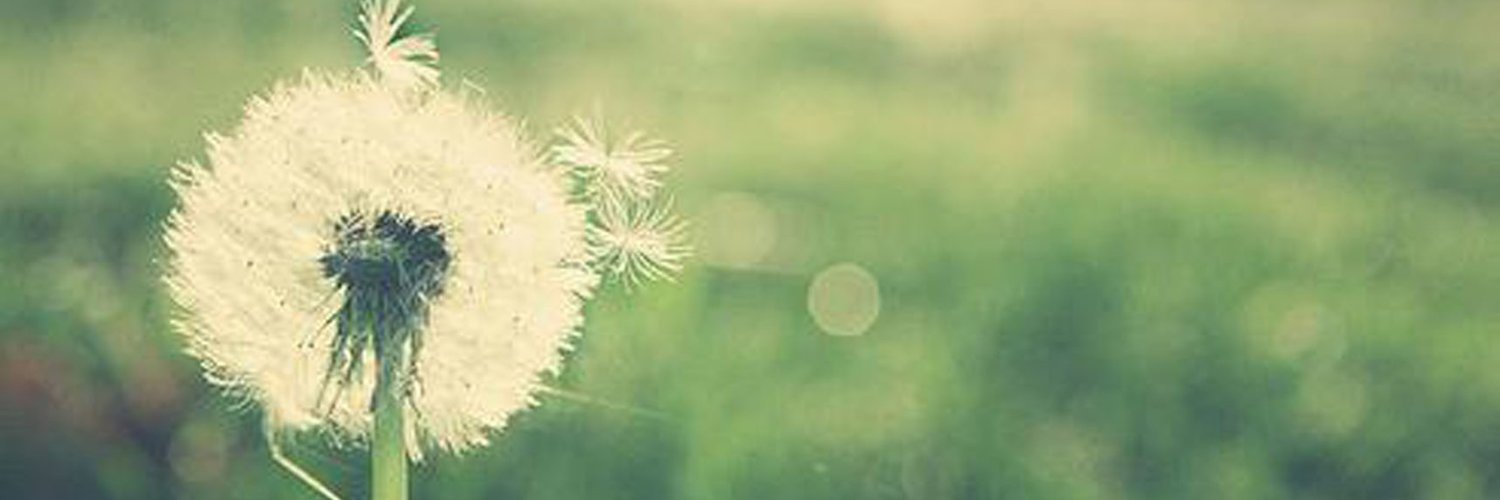 PhreakyEarth's profile banner image