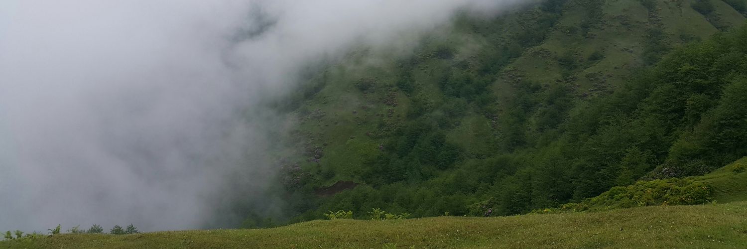 goncakul_'s profile banner image