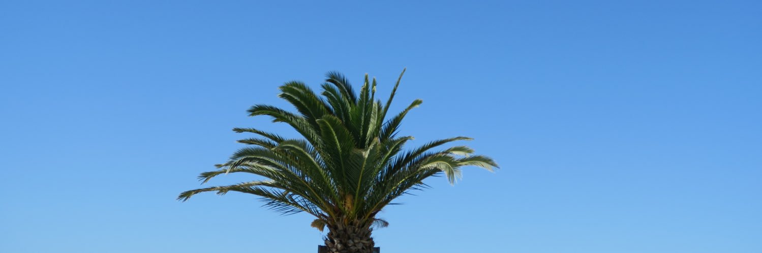 katieewd's profile banner image