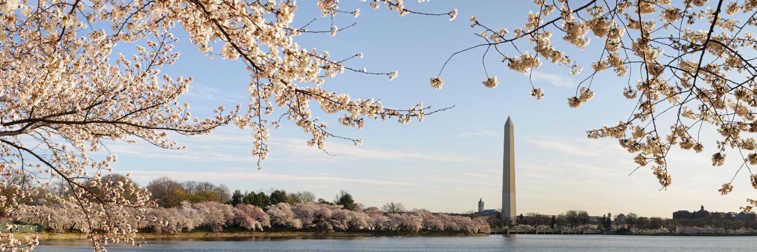 Google Local DC banner