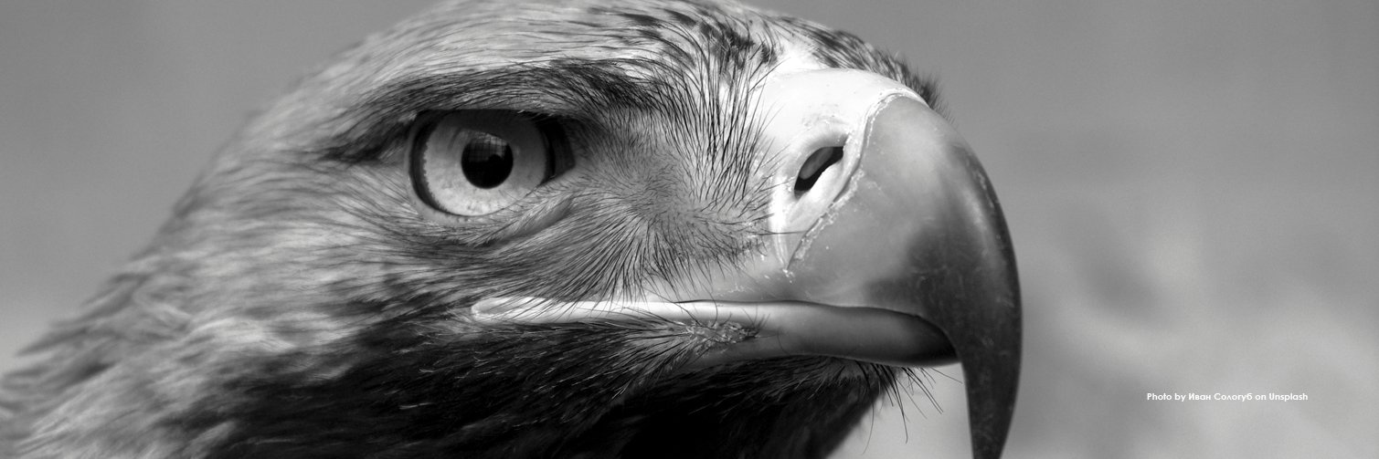 school_grc's profile banner image