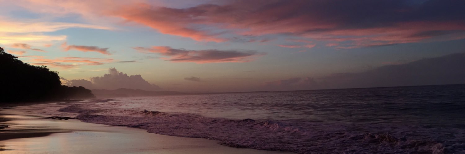 raquedormond's profile banner image