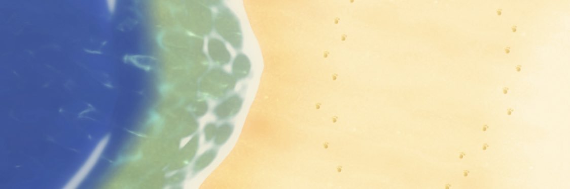 空豆(そらまめ) banner