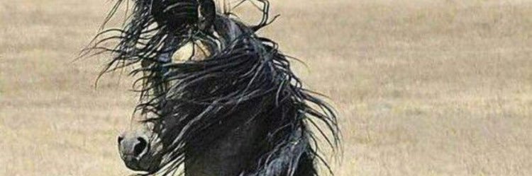 LonkoRodrigo's profile banner image
