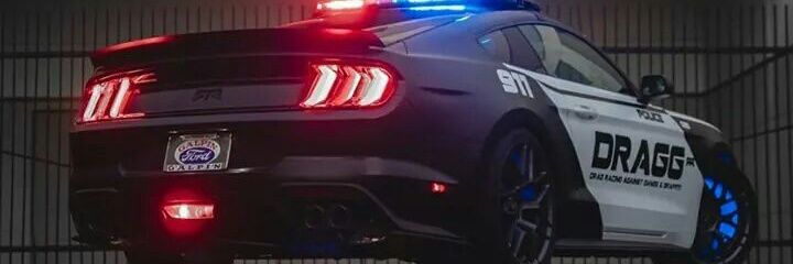 pinki_dbrain's profile banner image