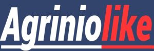 agriniolike's profile banner image