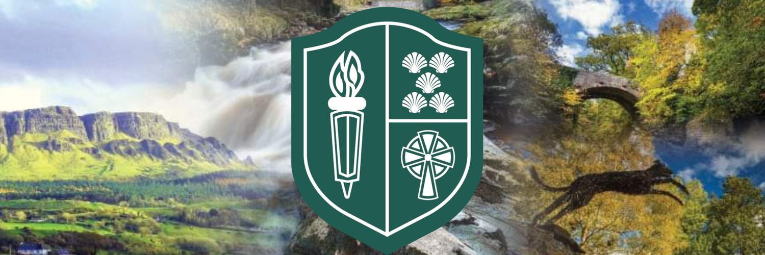 stmaryslim's profile banner image