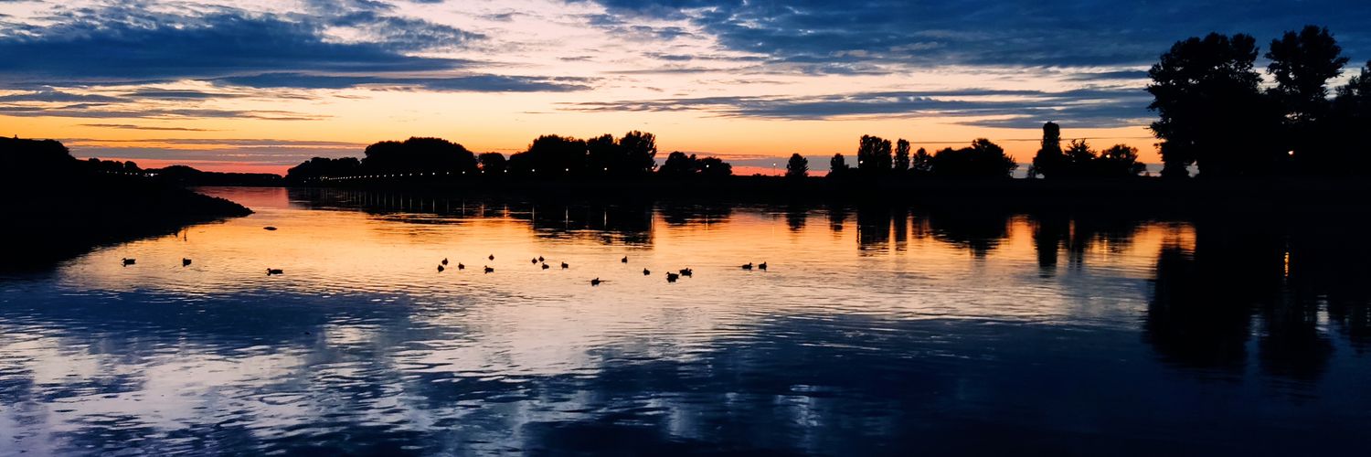 Davorin Cernoga banner