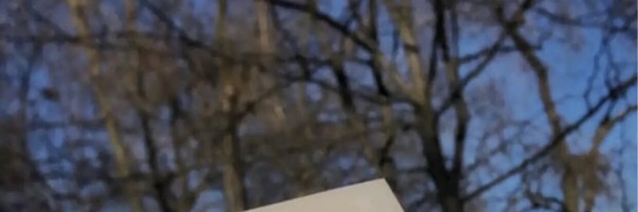 rosamoreno19's profile banner image
