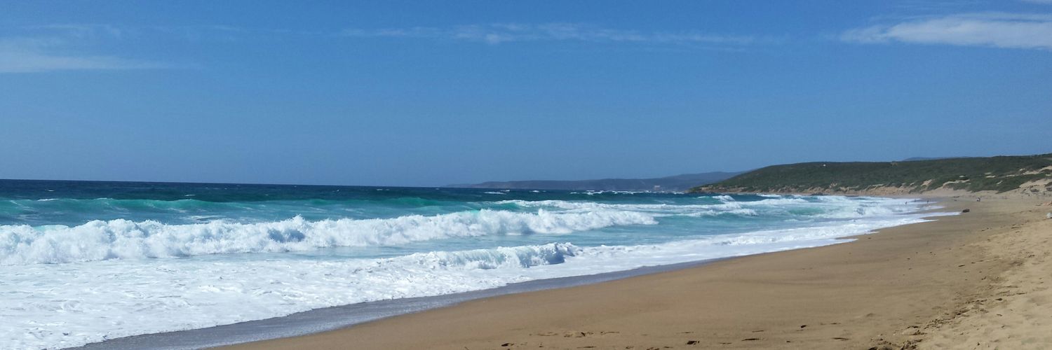 Valentina Caimi banner