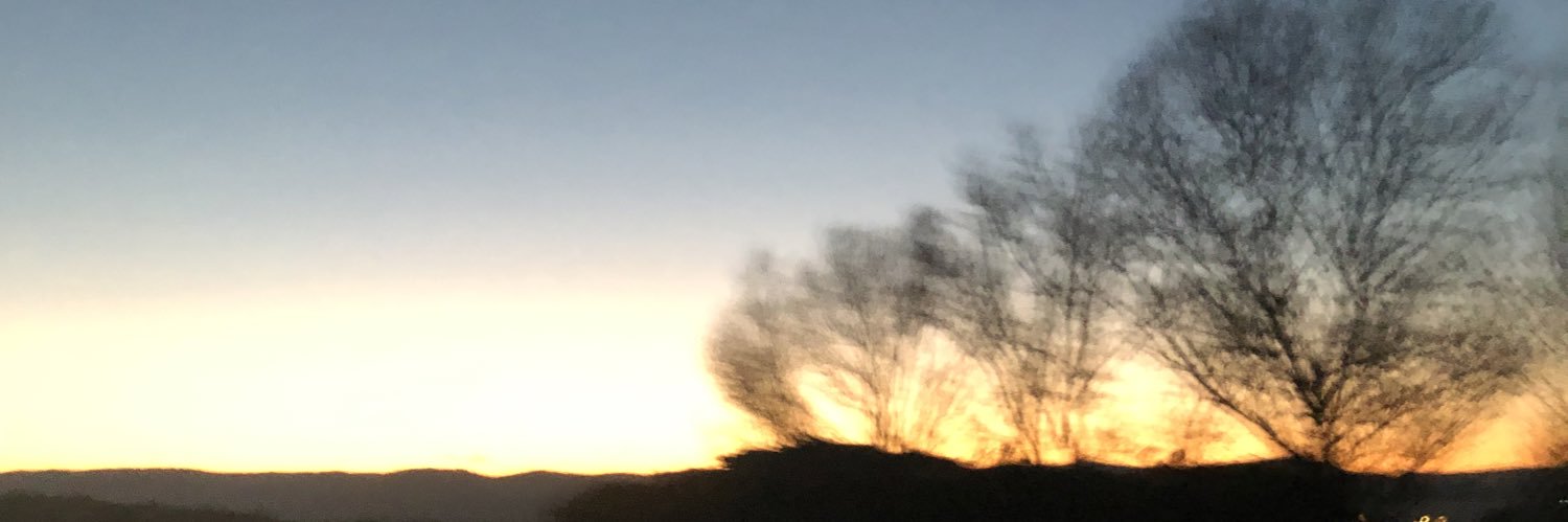 xtina_mandarina's profile banner image