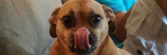GrantThelen1's profile banner image