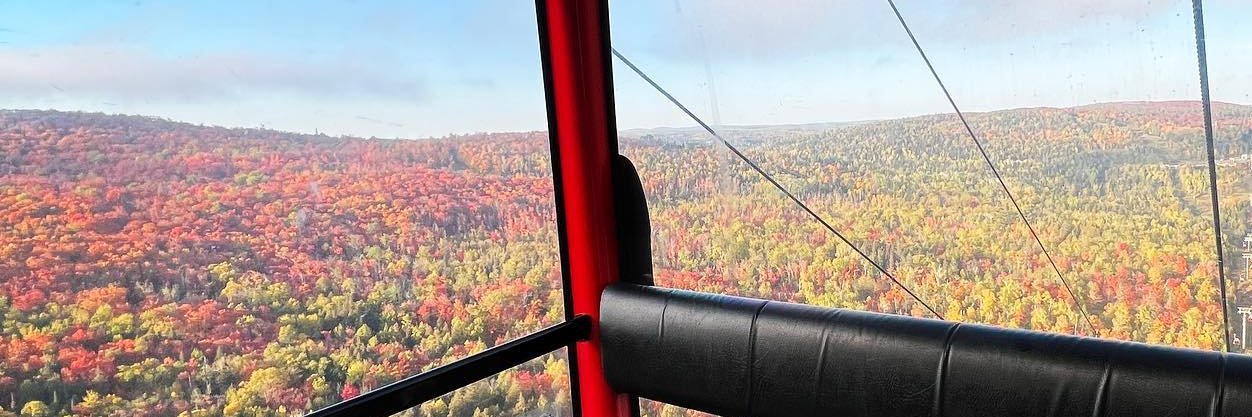 kaitlingault's profile banner image