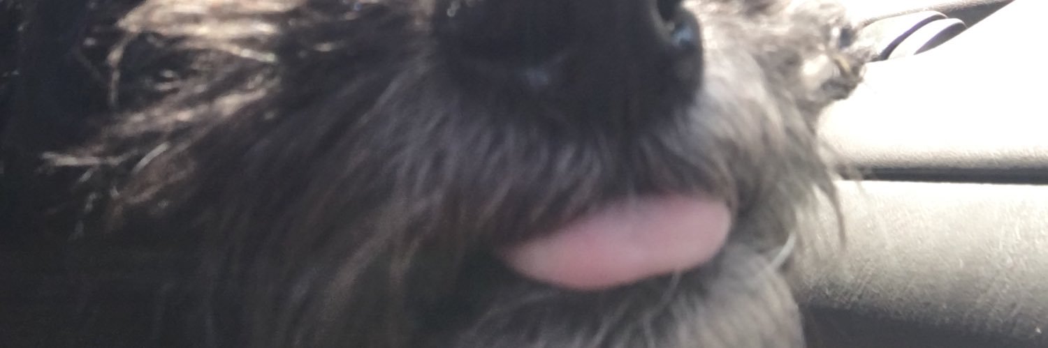 jerrycun1's profile banner image