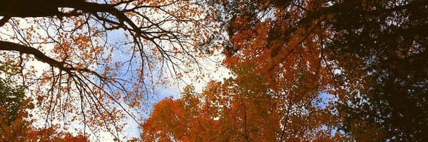 STRGreenCouncil Profile Banner