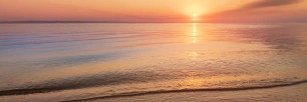 DrAlaaAhmad's profile banner image
