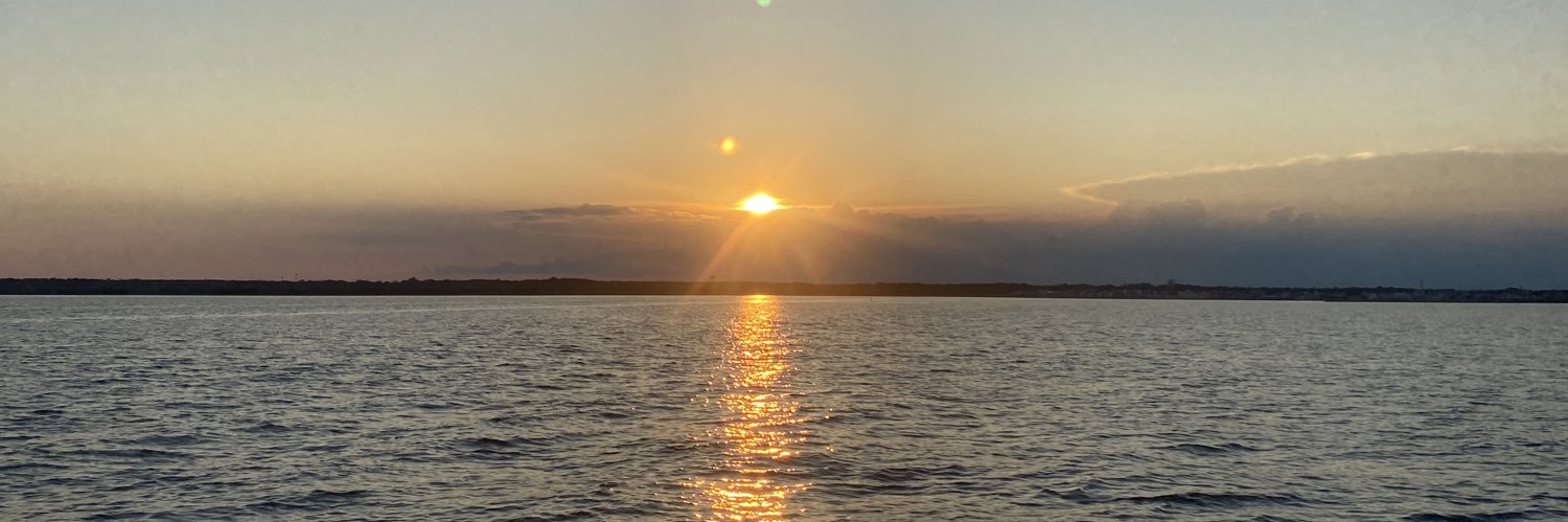 Jennifer Lowe banner