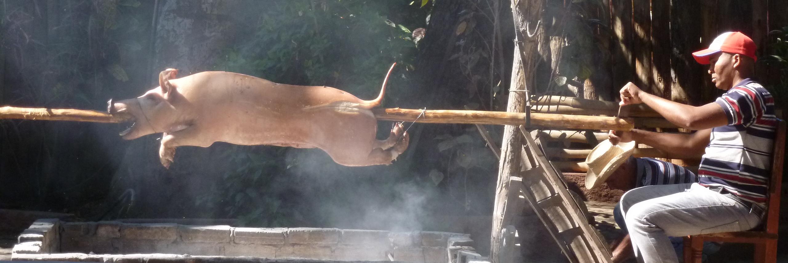 Food is a story banner