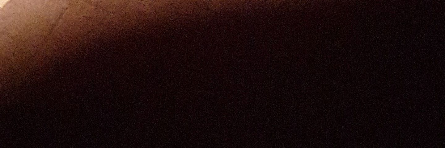 muscdude's profile banner image