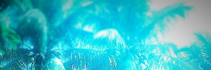 Love_da_isa's profile banner image