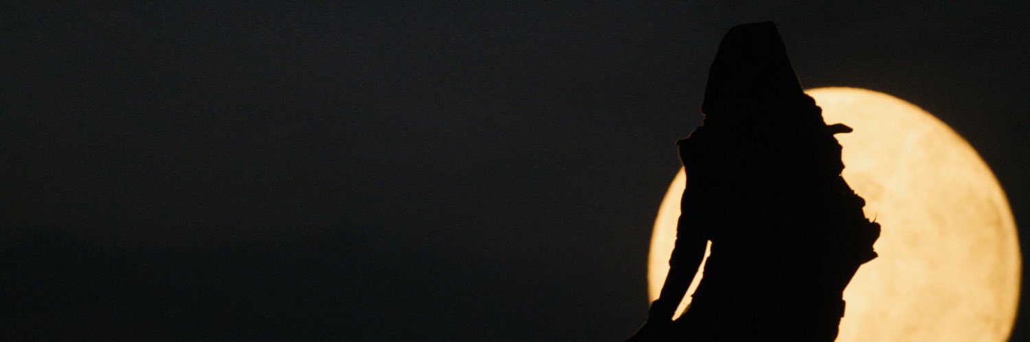 doctor__two's profile banner image