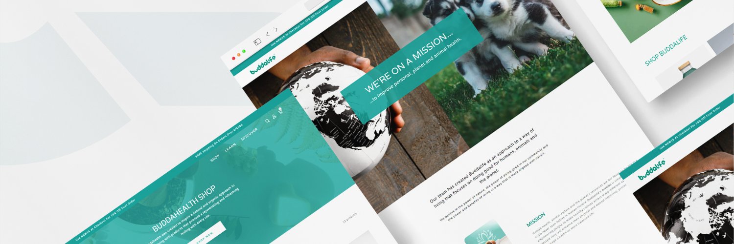 OWI Web Development banner