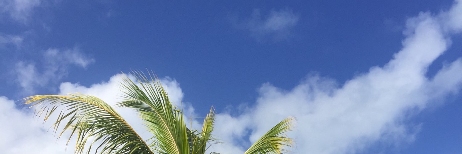 briannaNiessner's profile banner image