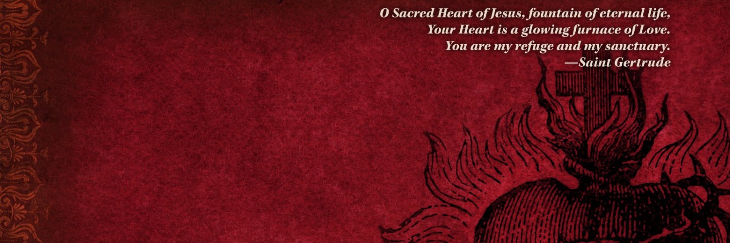 Luis Dizon 🇨🇦🇻🇦 banner